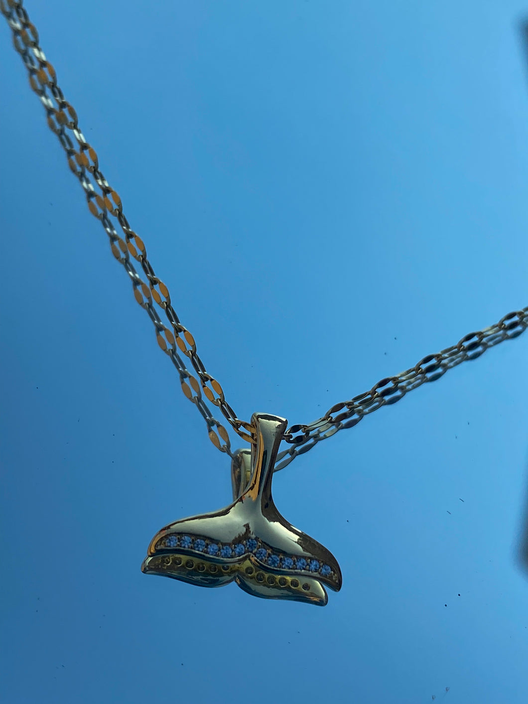 Tail Charm Necklace (GOLD)