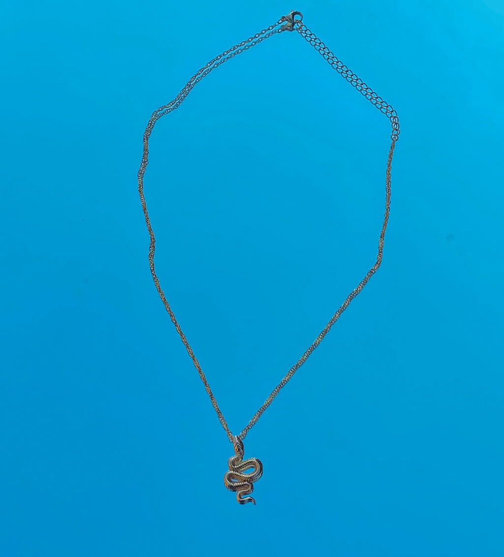 Snake Pendent Necklace