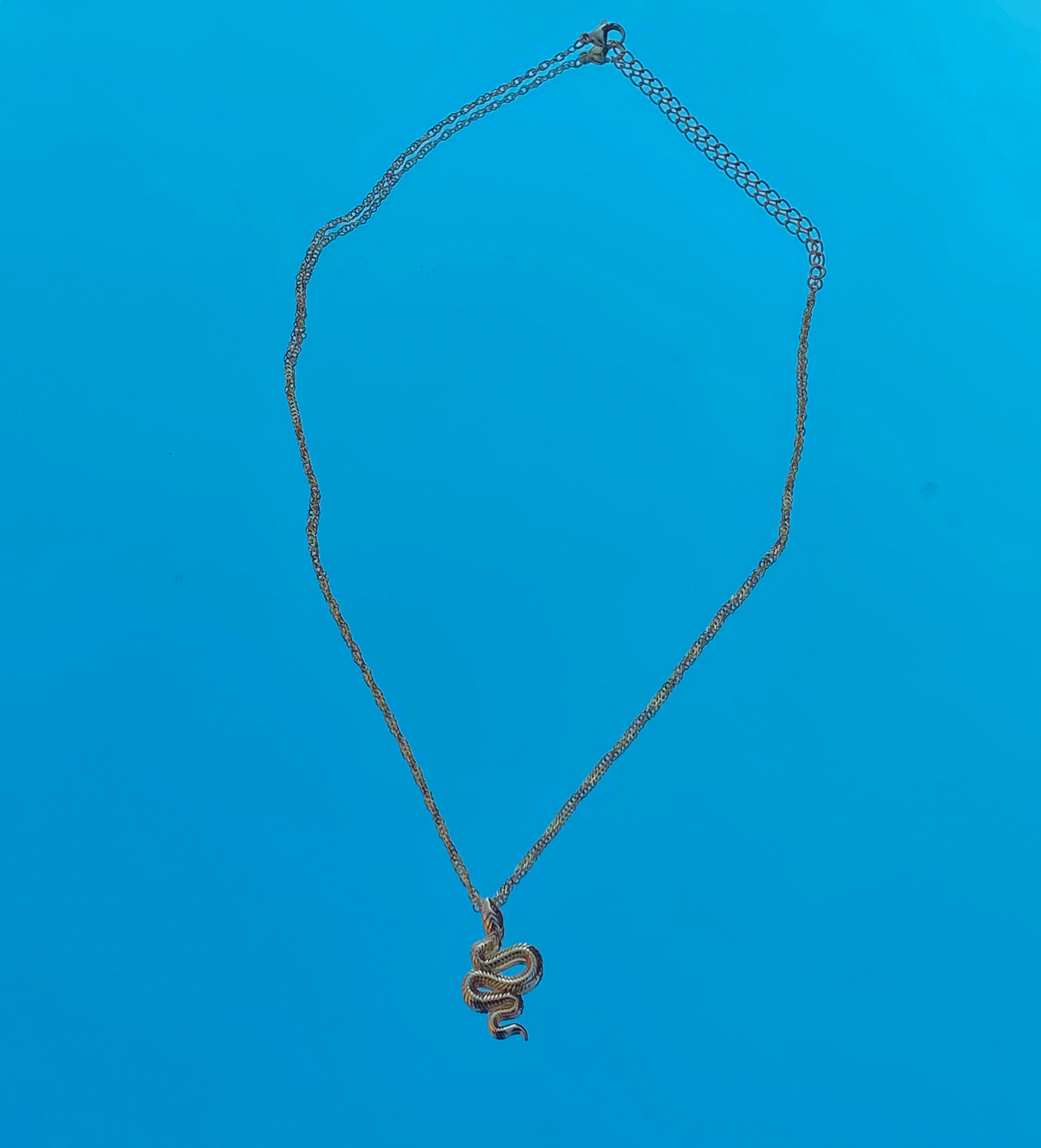 Snake Pendent Necklace