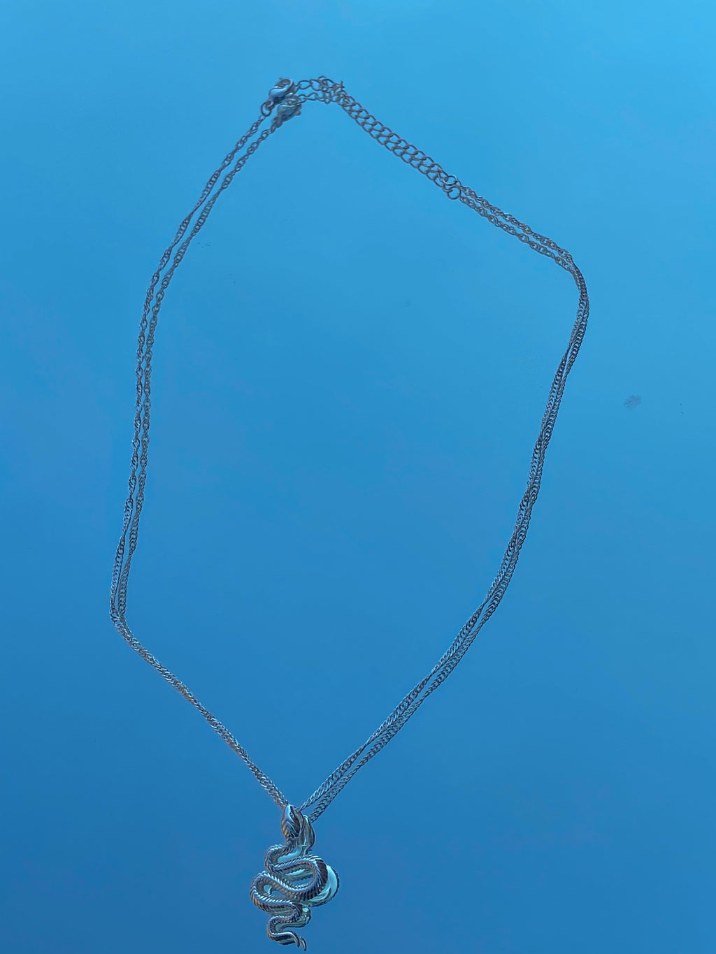 Snake Pendent Necklace