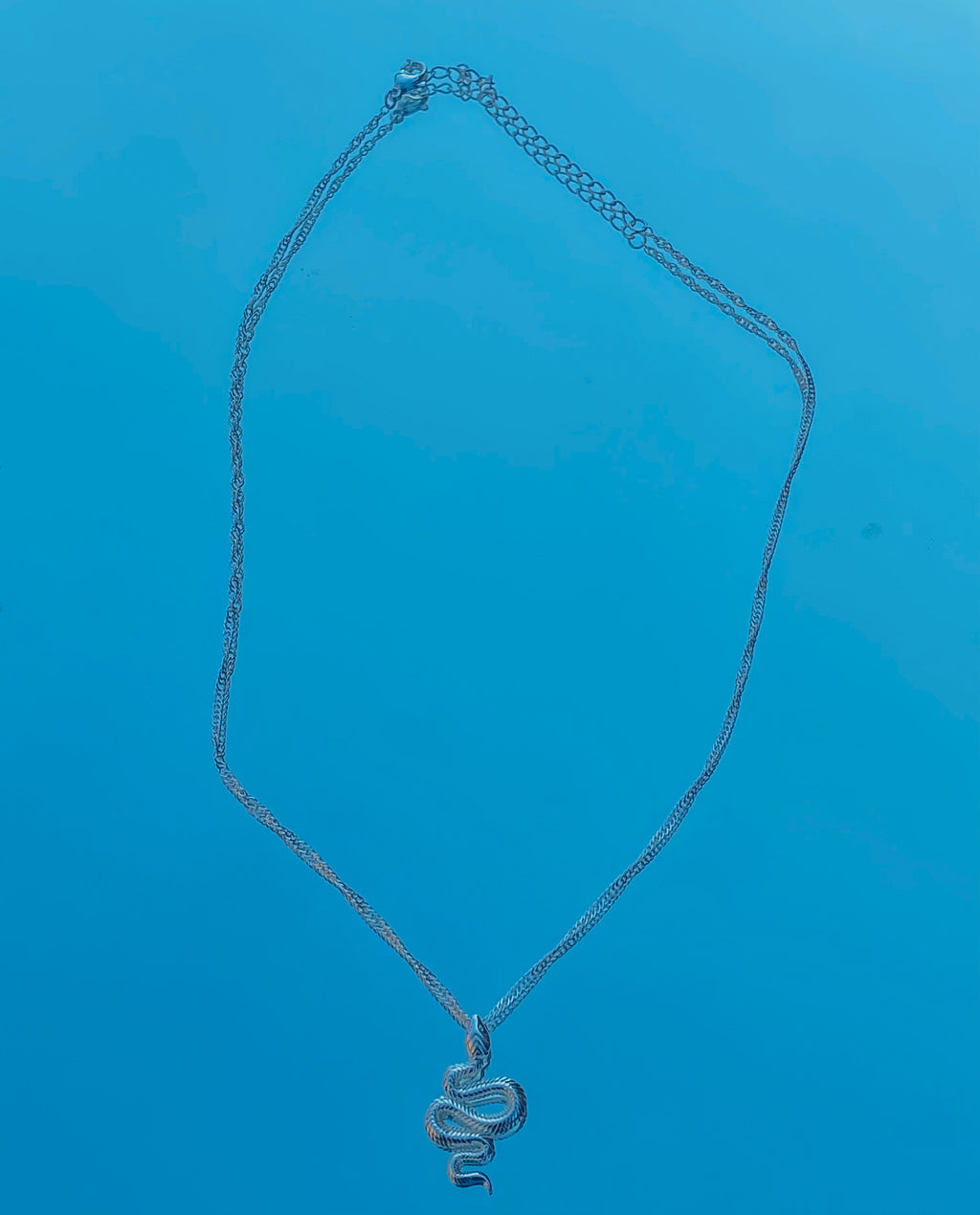 Snake Pendent Necklace