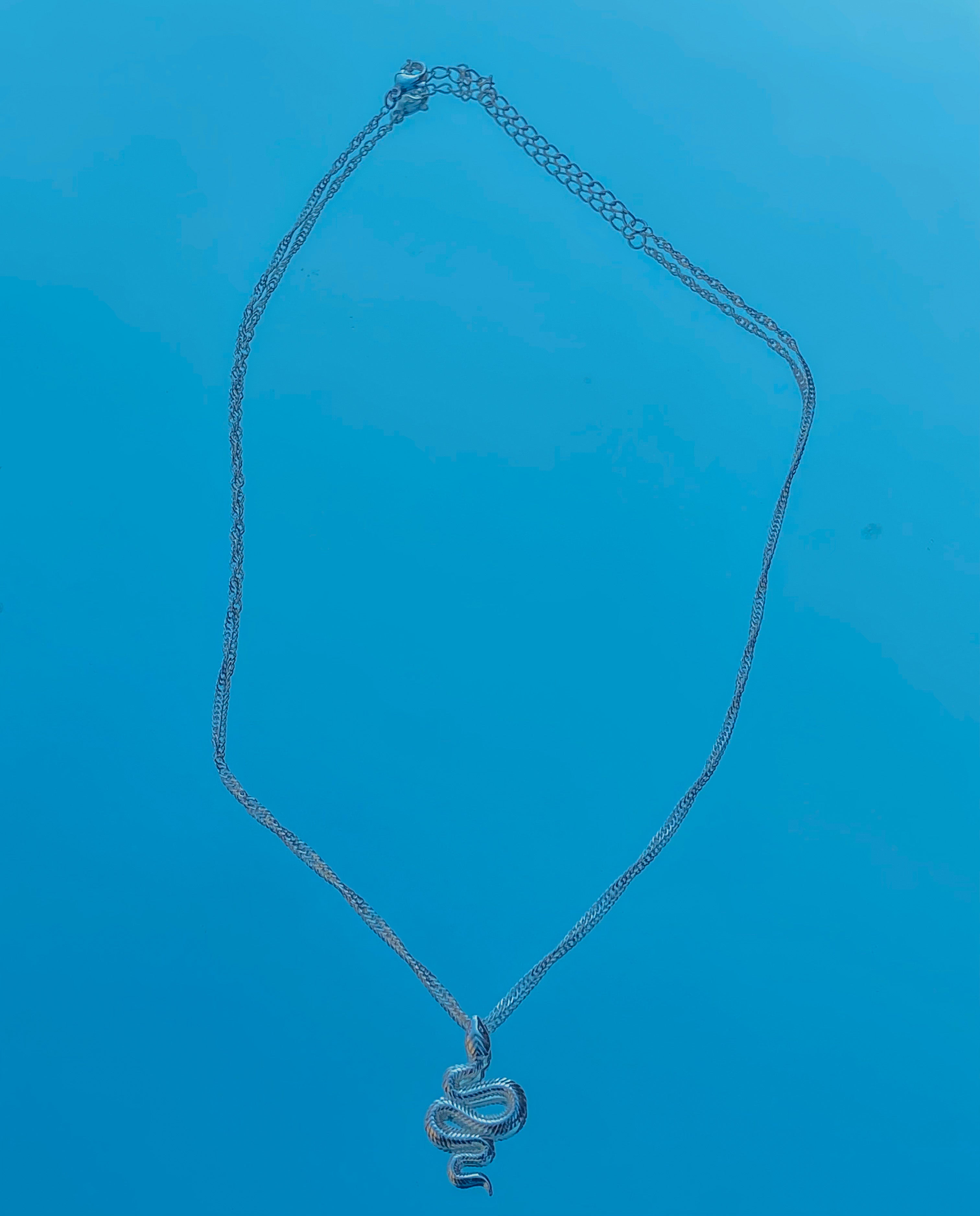 Snake Pendent Necklace