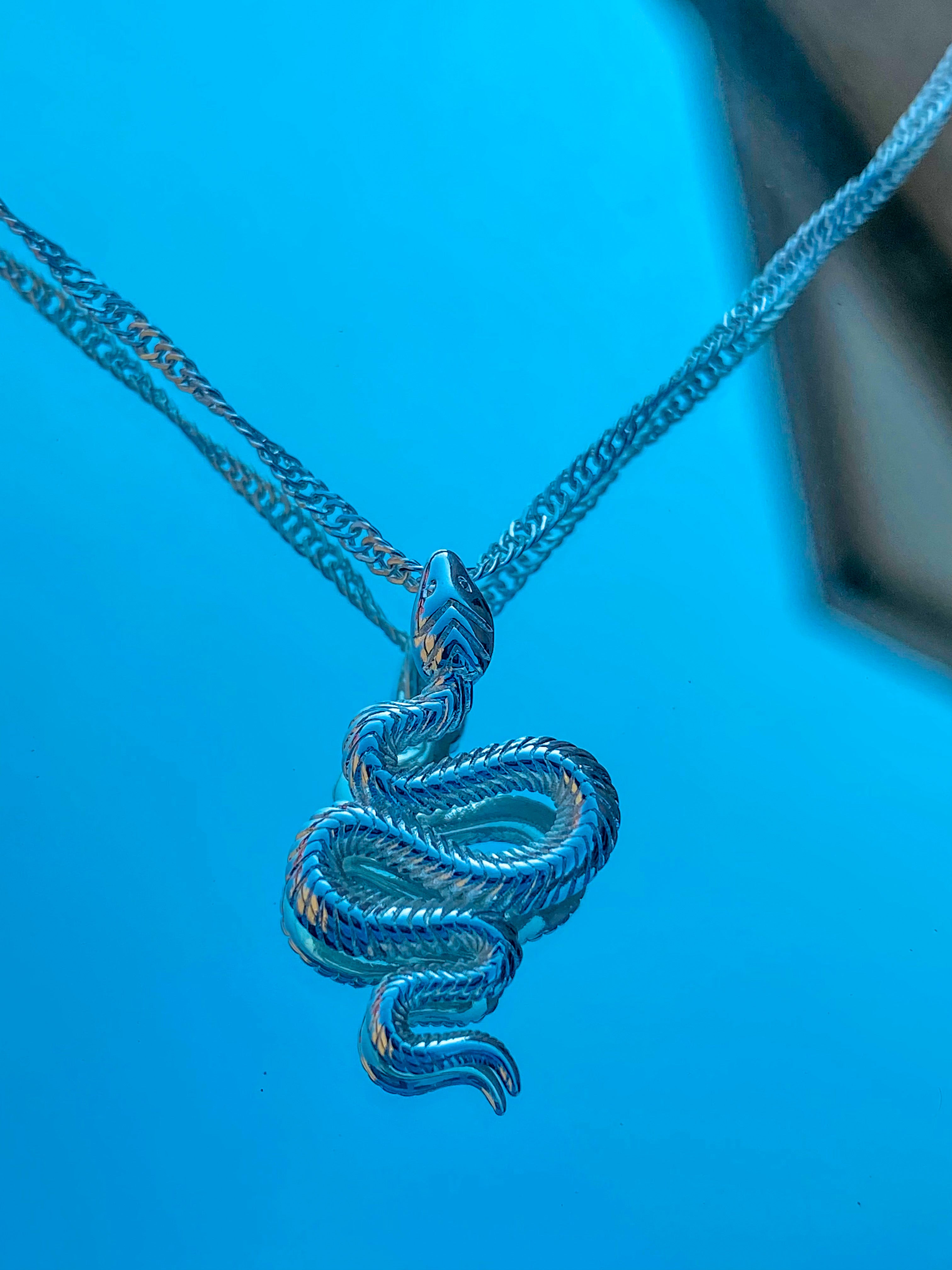Snake Pendent Necklace